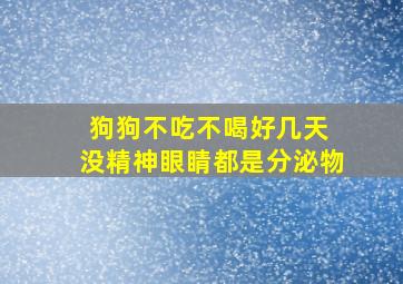 狗狗不吃不喝好几天 没精神眼睛都是分泌物